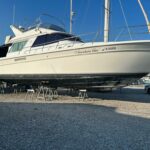 Sea Ray